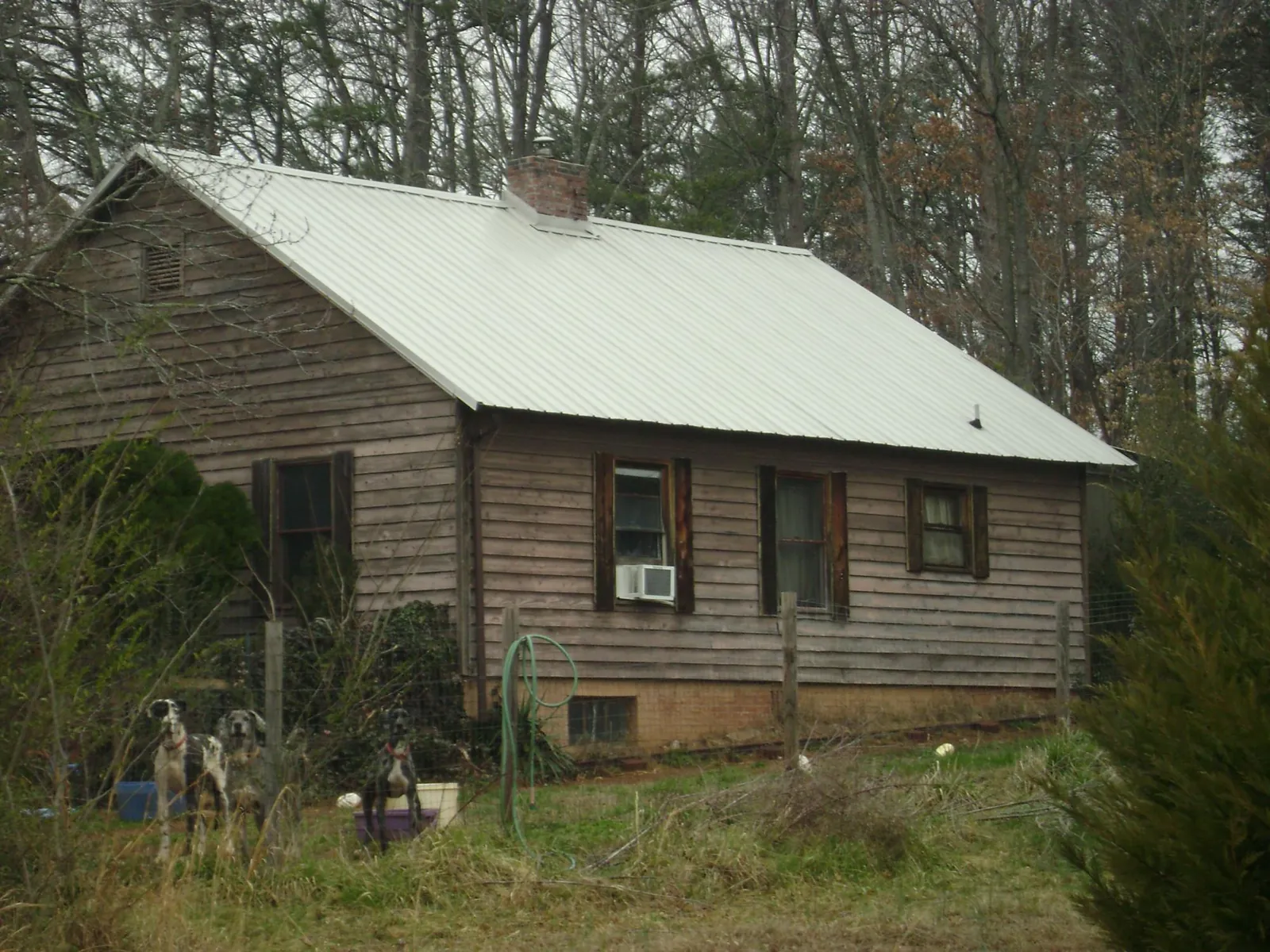 White metal roof on an old wood sided farmhouse, from a Asphalt Shingle Roof Repair job in Bantry